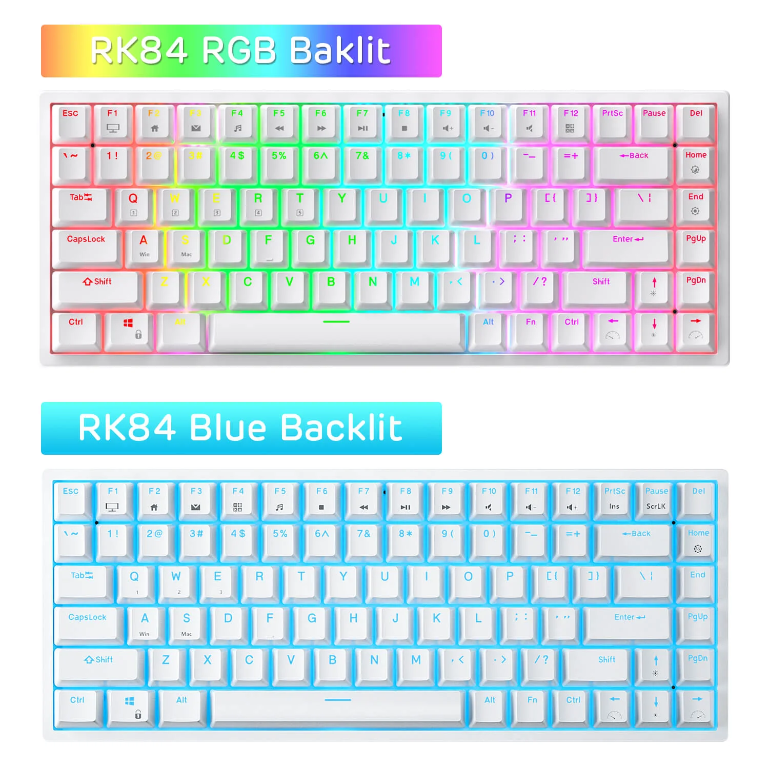 RK84 75% Wireless Mechanical Keyboard, Blue Backlit - Image 8